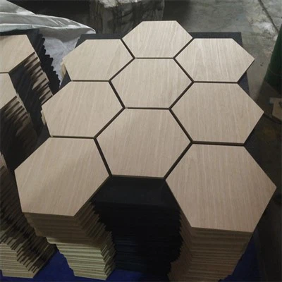 مسدس صوتی اکو وال پینل